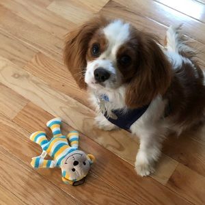 Meet your Posher, Jennifer